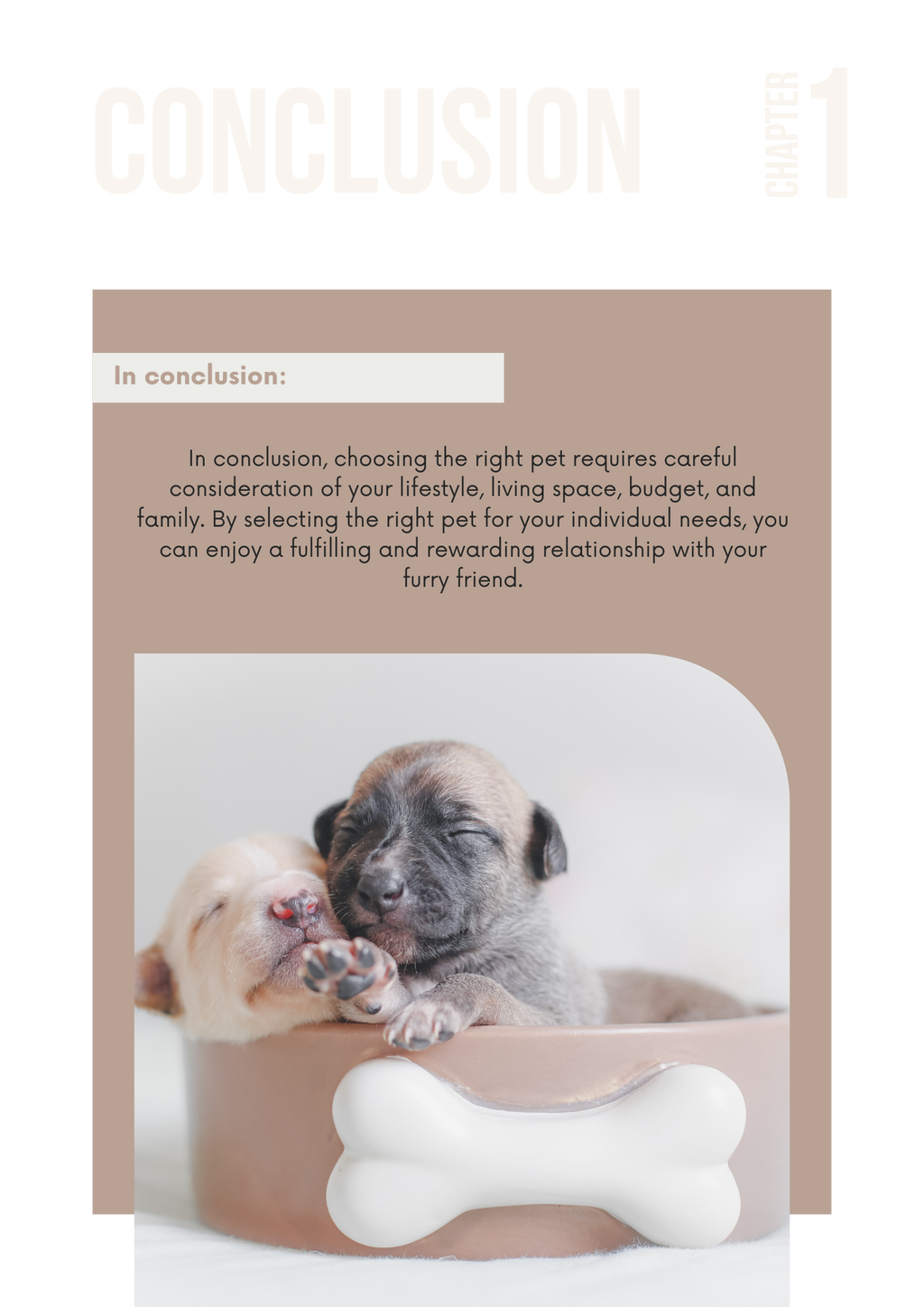 Two sleeping puppies in a bowl