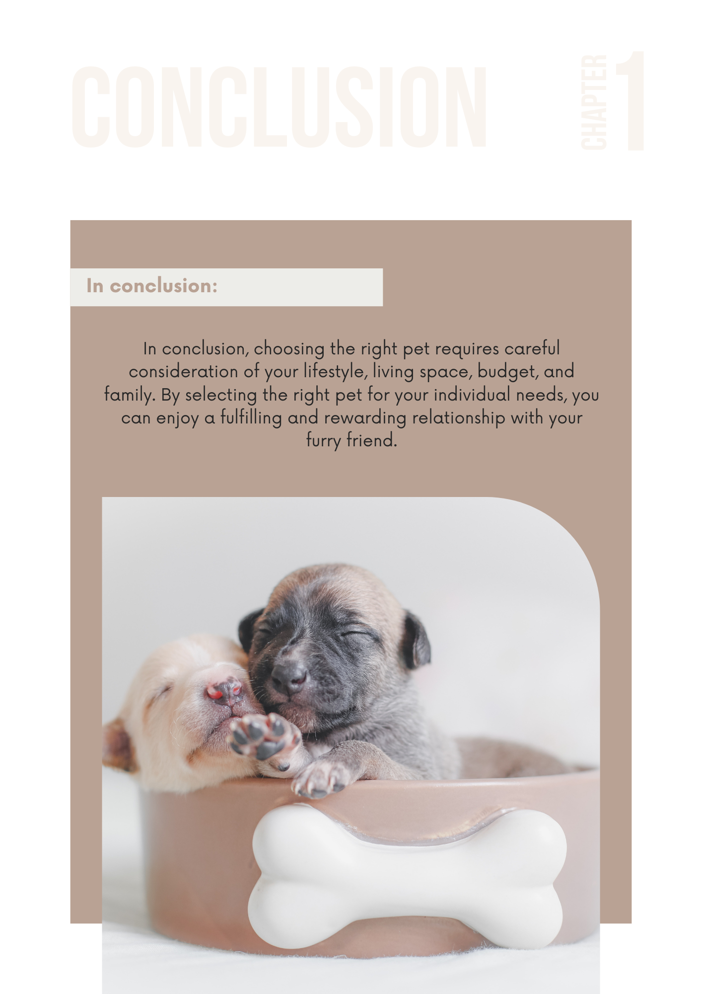 Two sleeping puppies in a bowl